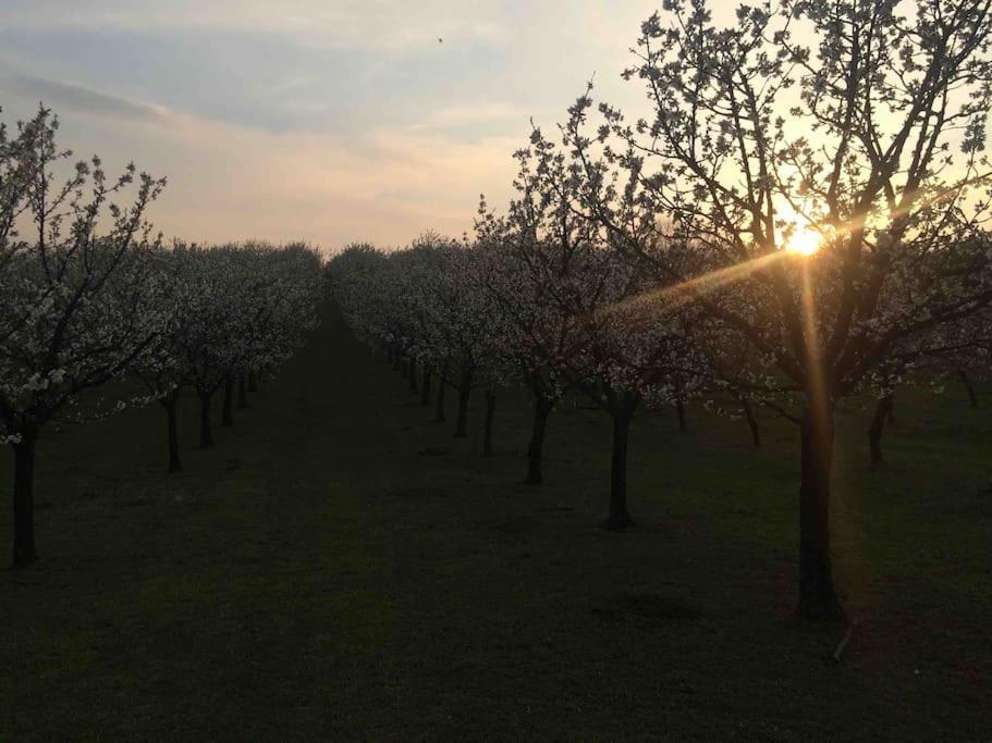 Krasny Srub Na Jihu Brna Villa Zelesice Bagian luar foto